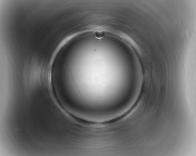 X0000099981424200805231416