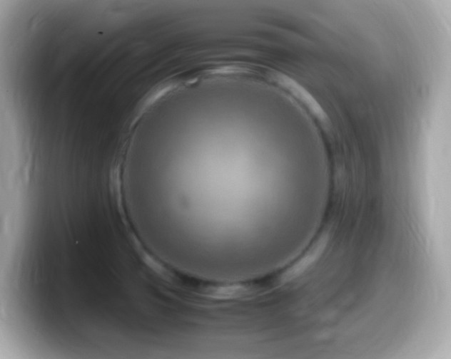X0000099981425200805231416