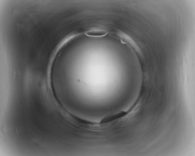 X0000099981427200805231416