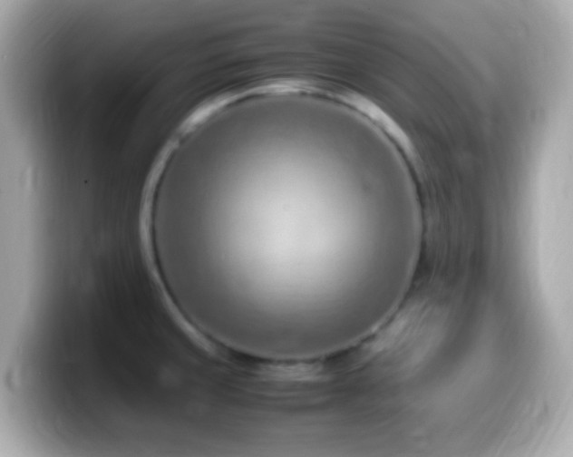 X0000099981429200805231416