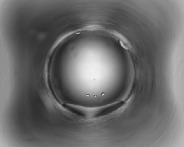 X0000099981430200805231416