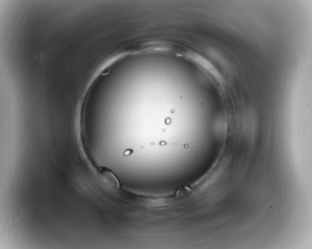 X0000099981431200805231416