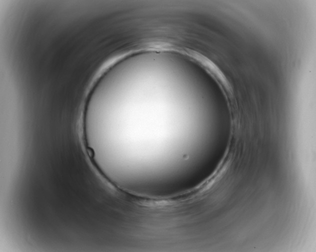 X0000099981432200805231416