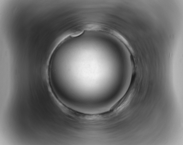 X0000099981434200805231416