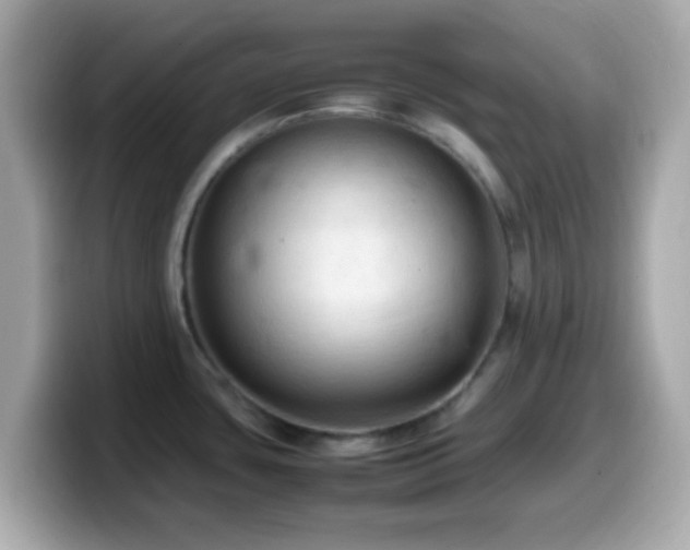 X0000099981435200805231416
