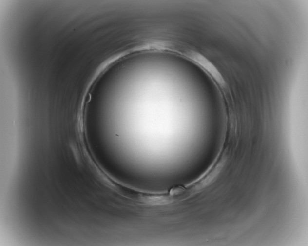 X0000099981436200805231416