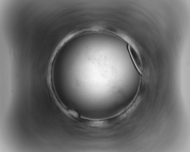 X0000099981437200805231416