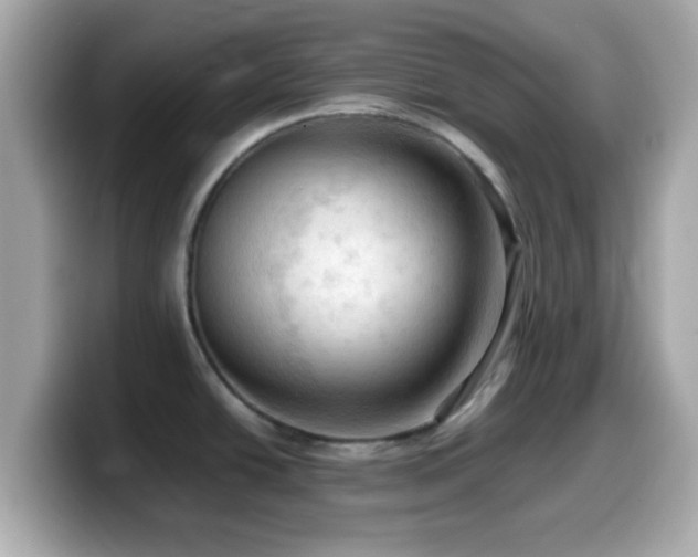 X0000099981438200805231416