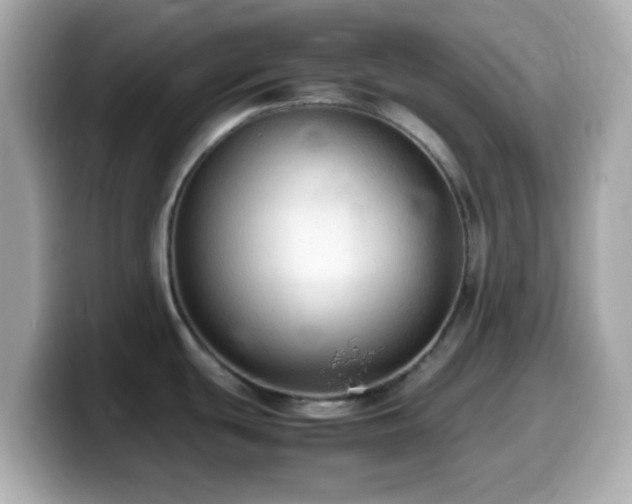 X0000099981439200805231416