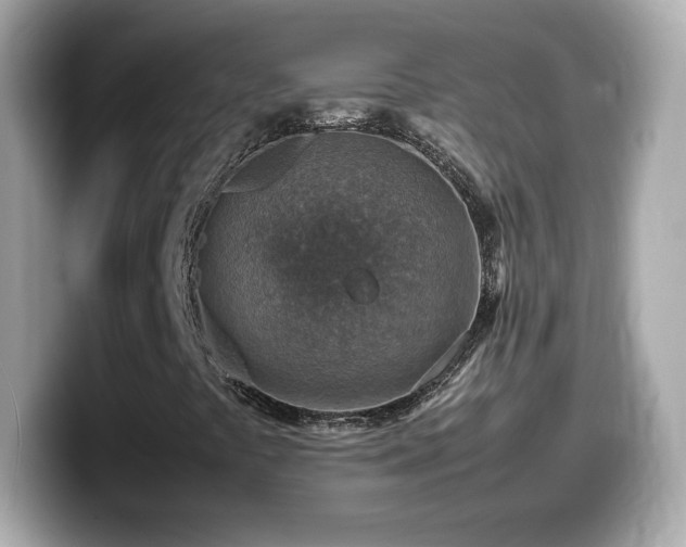 X0000099981441200805231415
