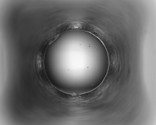 X0000099981442200805231415