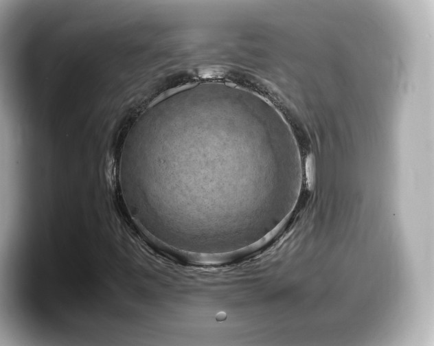 X0000099981443200805231415