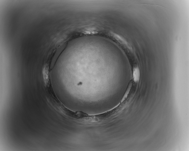 X0000099981444200805231415