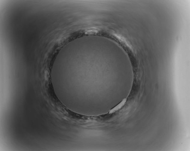 X0000099981445200805231415