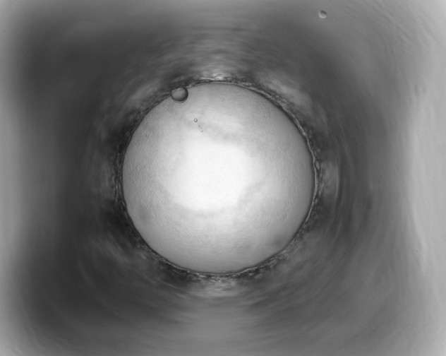 X0000099981446200805231415