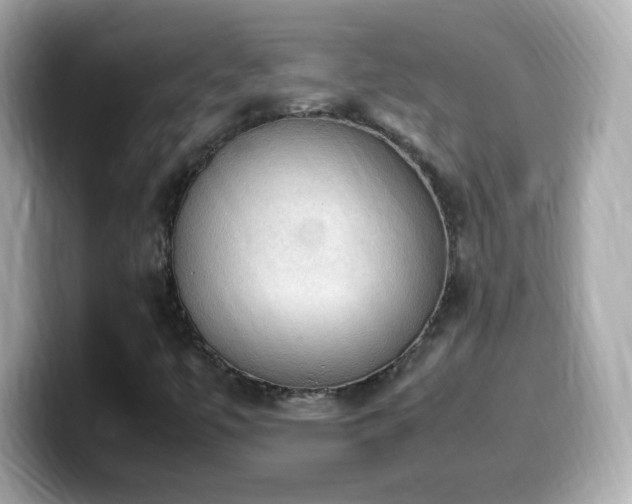 X0000099981447200805231415
