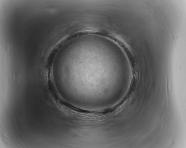 X0000099981448200805231415