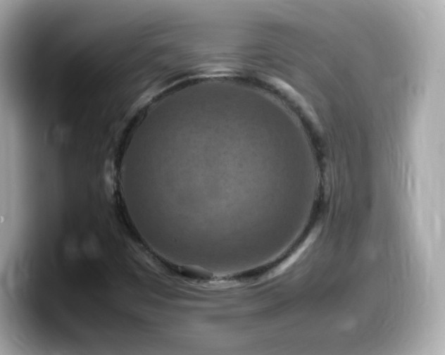 X0000099981449200805231415