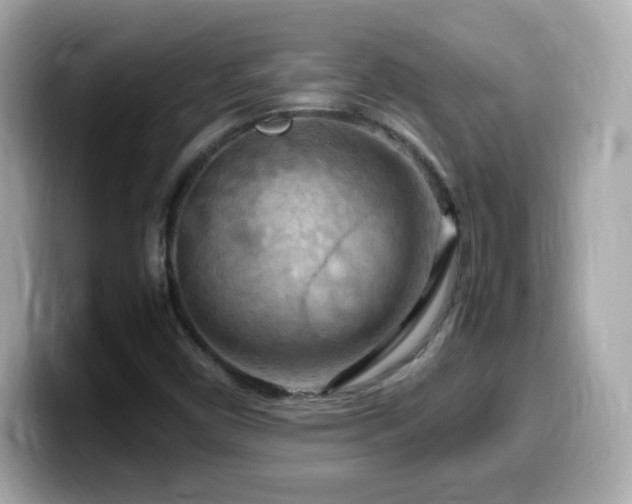 X0000099981450200805231415