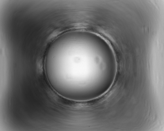 X0000099981451200805231415