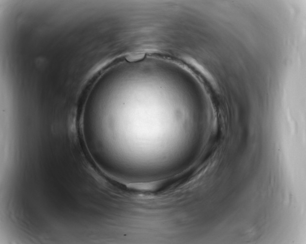 X0000099981452200805231415