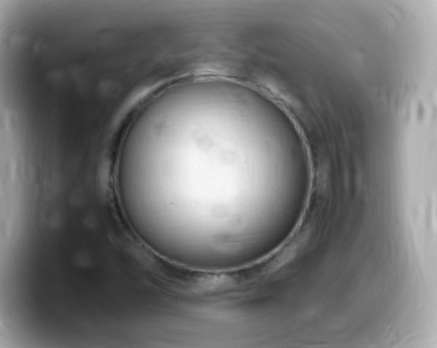 X0000099981454200805231415