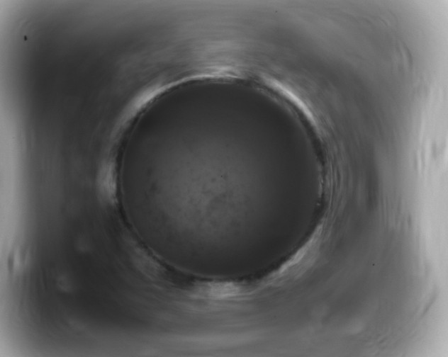 X0000099981455200805231415