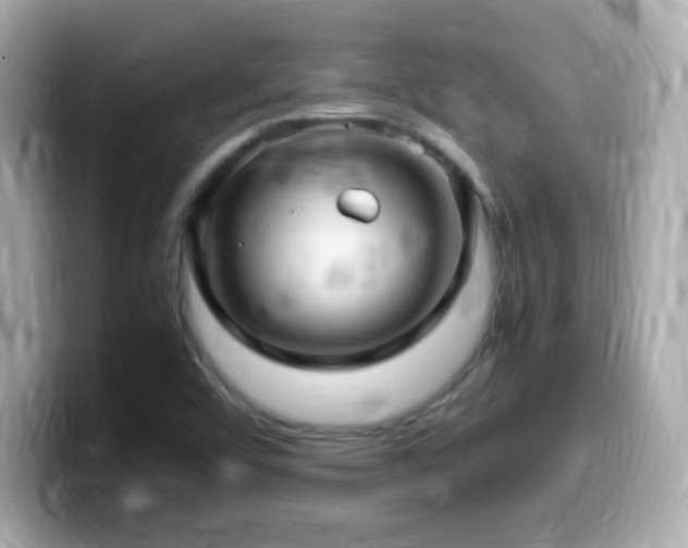 X0000099981456200805231415