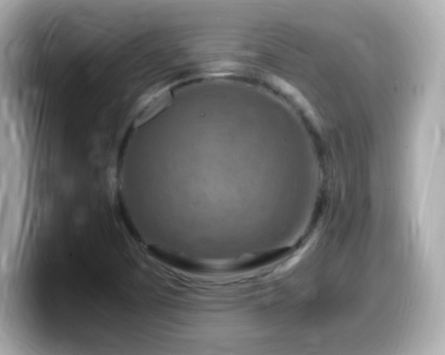 X0000099981457200805231415