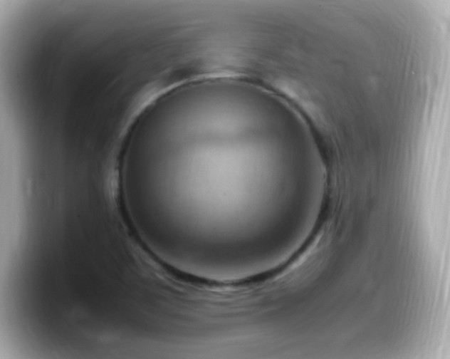 X0000099981459200805231415