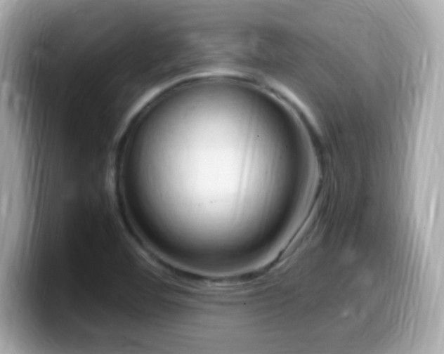 X0000099981460200805231415