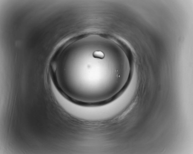 X0000099981461200805231415