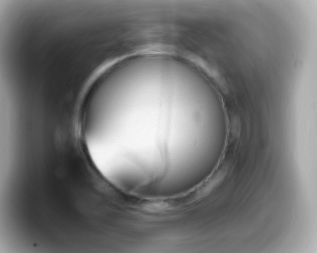 X0000099981462200805231415