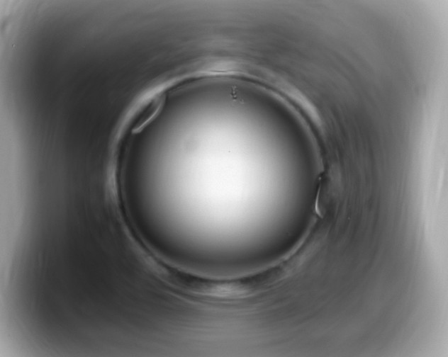 X0000099981464200805231415
