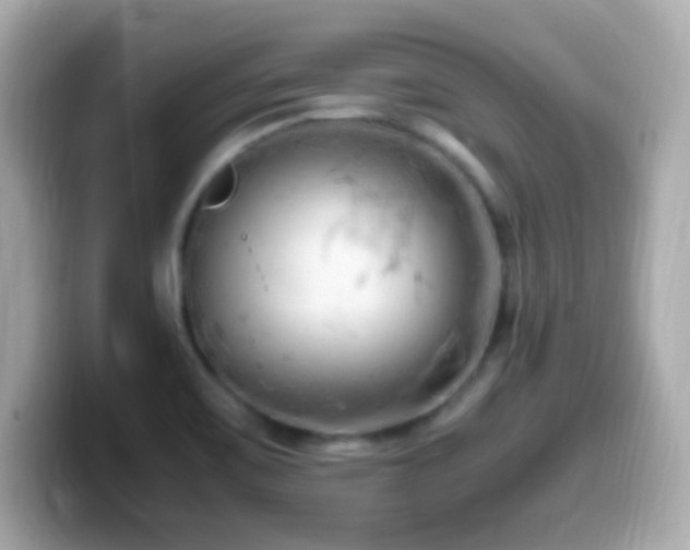 X0000099981467200805231415