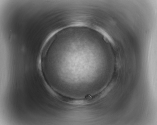 X0000099981468200805231415