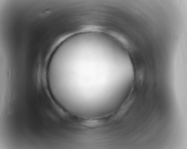 X0000099981470200805231415