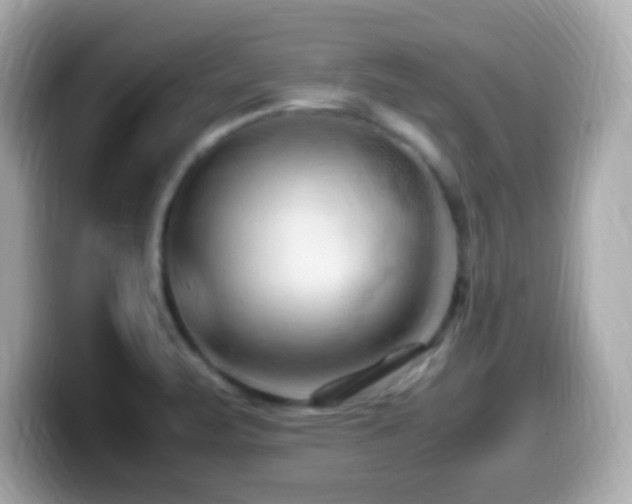 X0000099981471200805231415