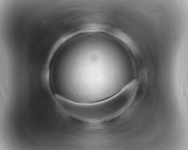 X0000099981472200805231415