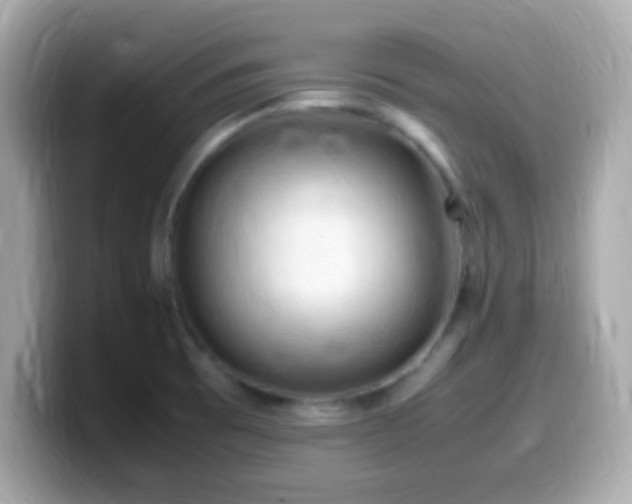 X0000099981473200805231415