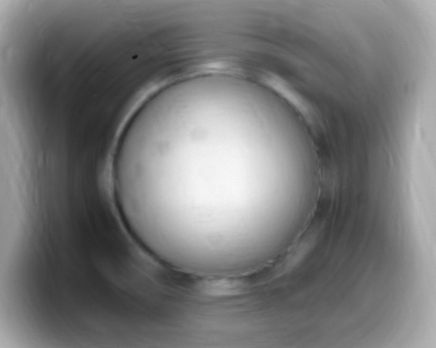 X0000099981474200805231415