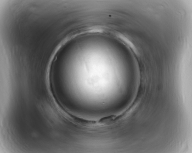 X0000099981475200805231415
