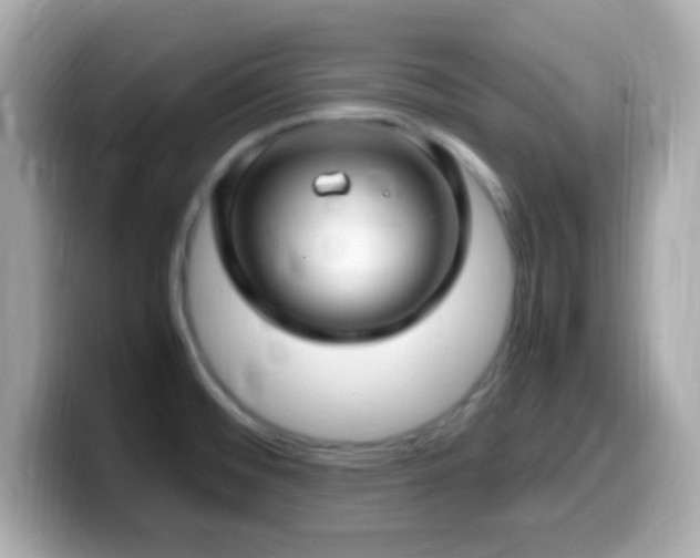 X0000099981476200805231415