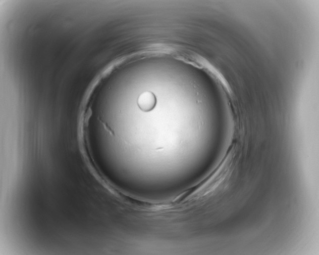 X0000099981477200805231415