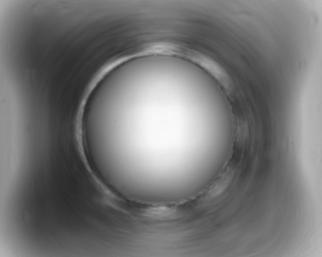 X0000099981478200805231415