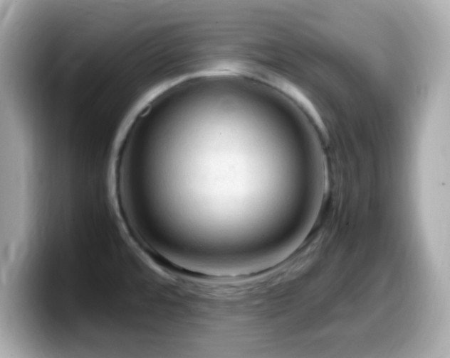 X0000099981480200805231415
