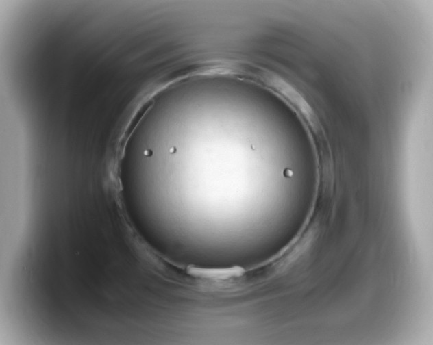 X0000099981481200805231415