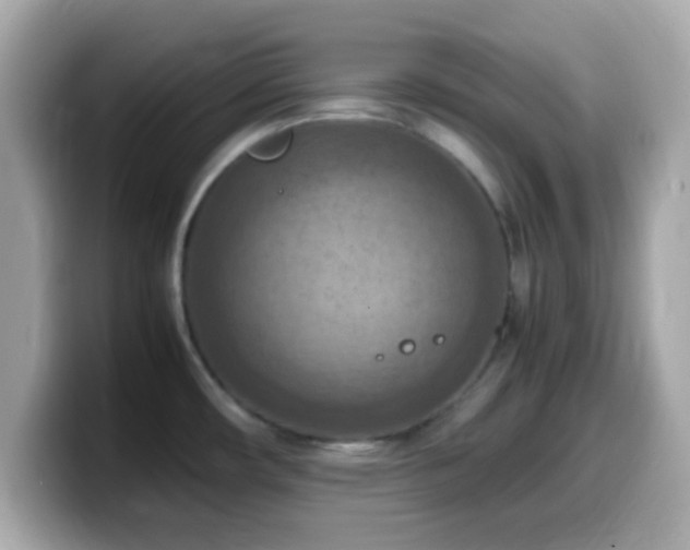 X0000099981482200805231415