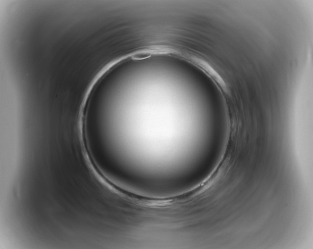 X0000099981484200805231415