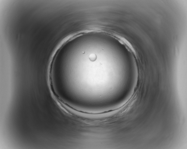 X0000099981485200805231415